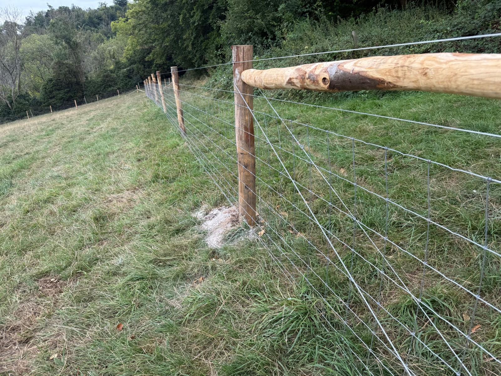 Agricultural Fencing East Sussex Agricultural Fencing East Sussex